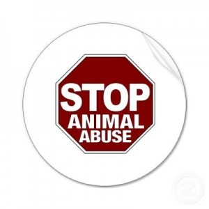 stop_animal_abuse_sticker-p21743746